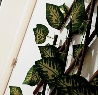 Tarancon Apartment | Tarancon Suite Exclusivo