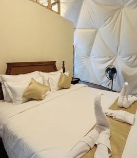 Hazaribagh Other | Tathastu Farms