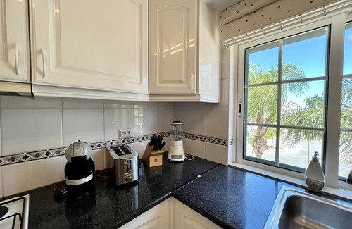 Canada Apartment | Tavira Palm Tree by Homing