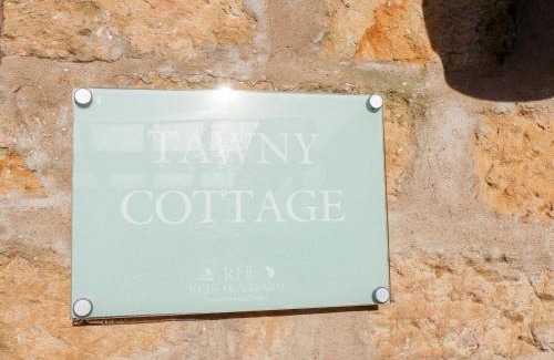 Scarborough House | Tawny Cottage
