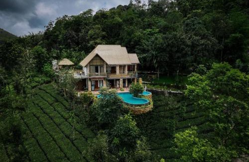 Elappara Villa | Tea & Tranquility by Moksha Stays