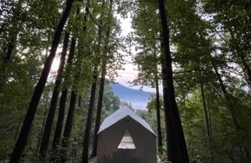 Lynn Other | Tentrr Signature Site - Mountain View in Tryon