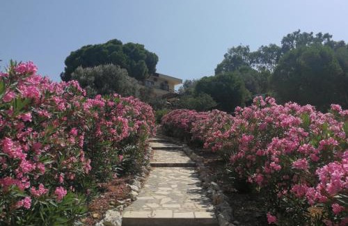 Foca House | Teras Motel