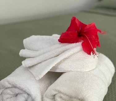 Boldro House | Terra Encantada Pousada Fernando de Noronha