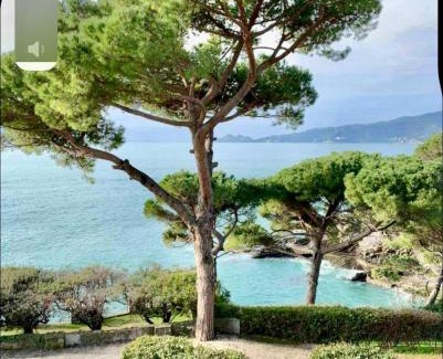 Zoagli Apartment | Terrazza Villa Margherita