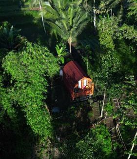 Tetebatu House | Tetebatu flower