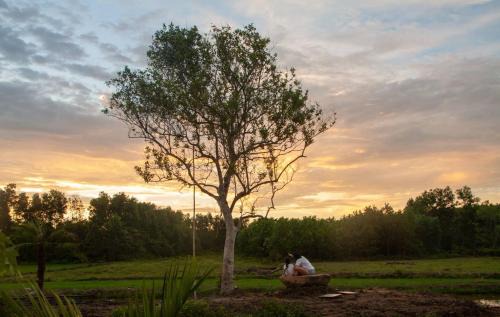 Phu Loc Apartment | Thỏ House