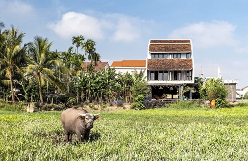 Cam Thanh Villa | The An Retreat 7BRs w/Pool & Rice Field