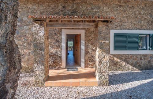 Tomar Villa | The Art House