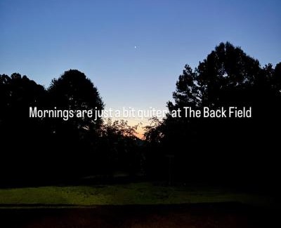 McCall Creek Bed & Breakfast | The Back Field