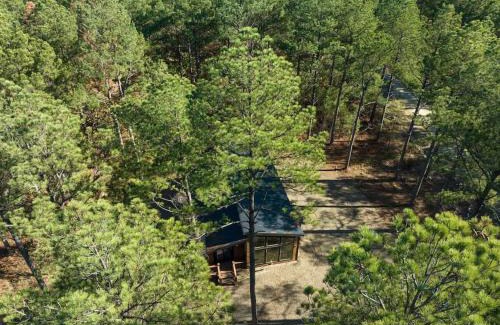 Pickens House | The Blaylock Cabin, 2 King, Hot Tub, Pet Friendly!
