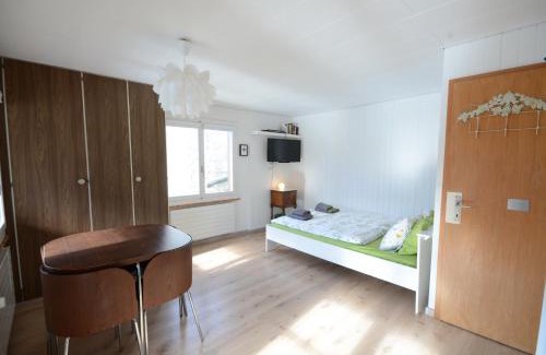 Goldswil Apartment | The Boat House