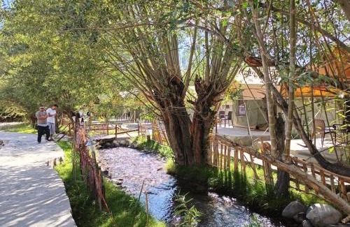 Hunder Cabin | The Brook Camp Hunder, Nubra