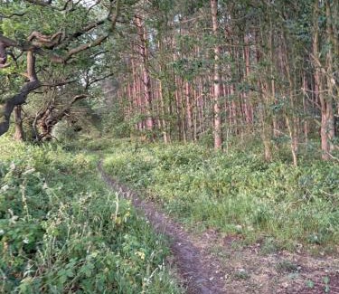 Kenwick House | The Bunker