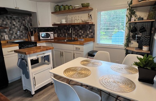Fayetteville House | The Chestnut-mid century modern home on the NRG NP