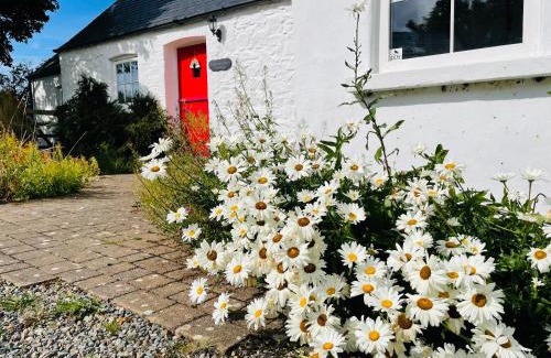 Goodwick House | The Dairy @ Trefechan Wen