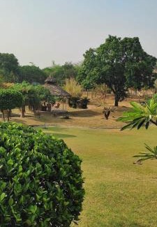 Siana Resort | The Dream Forest, Banquet & Resorts