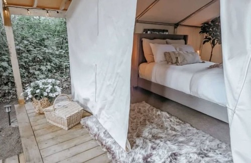 Tsawwassen Cabin | The Eagle's Nest