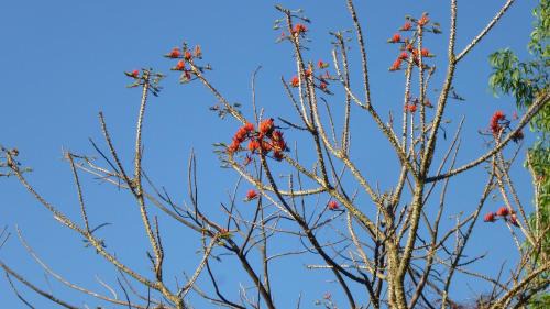 Ponda Ski Chalet | THE ENCHANTING NEST