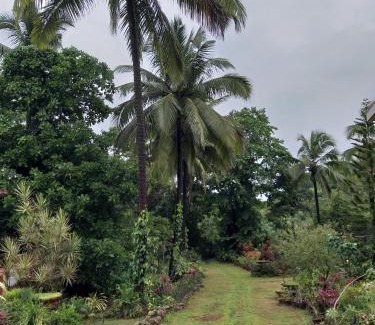 Ponda Ski Chalet | THE ENCHANTING NEST