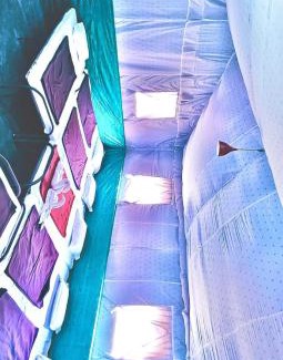 Taliyal Gaon Resort | The Family and Friends Resort Rishikesh