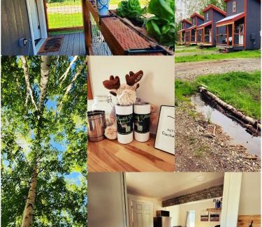 Badger House | The Fancy Fox - Frontier Village