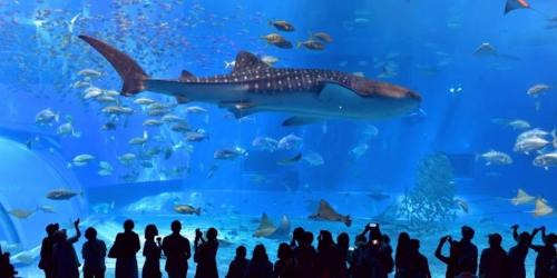 Kin House | The feel Kincho cho Seaside villa - sea -/Vacation STAY 26186