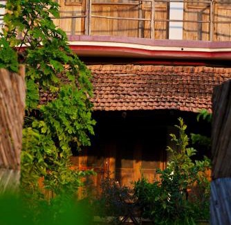 Tala House | The Flying Squirrel Bandhavgarh