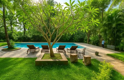 Palolem Apartment | The Four Corners-1BHK Palolem Garden Estate Near Palolem Beach