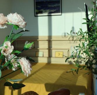 Viet Yen Apartment | The Grand Diamond C Hotel