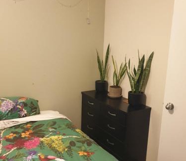 Whangarei House | The Grays