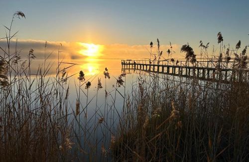 Barmera House | The Jetty Hut - Lake Frontage Barmera Riverland