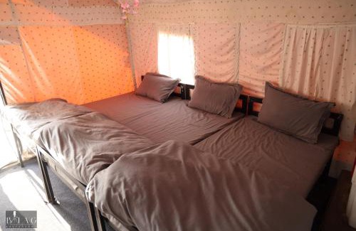 Sirala Other | The Jungle Mist Resort