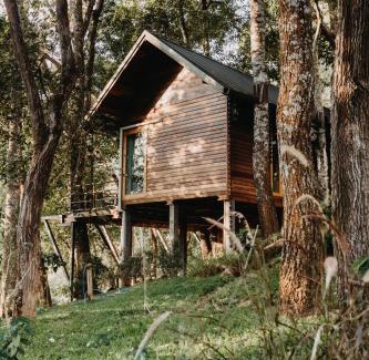 Doi Saket Resort | The Jungle Touch