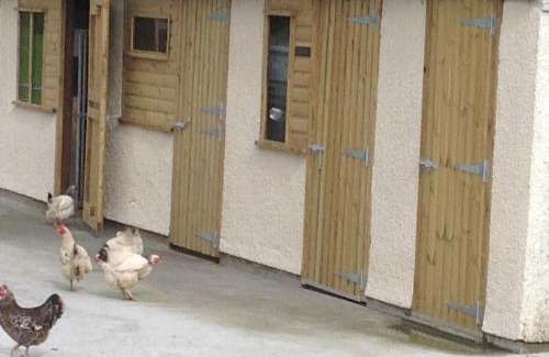 Mawr House | The Little cow shed