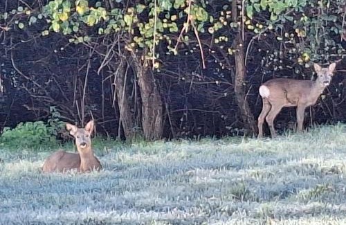 Keynsham House | The Lodge at The Elms