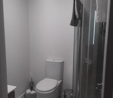 Dublin Cabin | The Lodge guesthouse