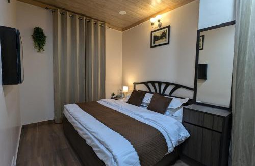 Bemloi Apartment | The Mall Ethos - On Mall Road - Kitchen - Sleeps 4