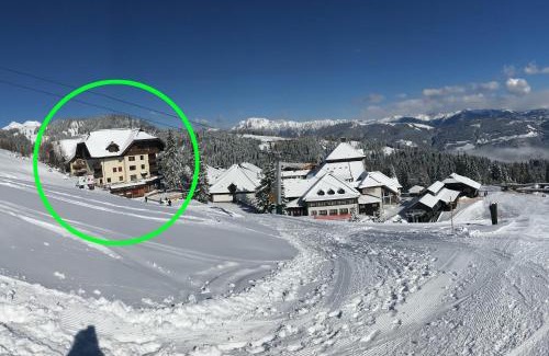 Sonnleitn Apartment | The Mountain Home