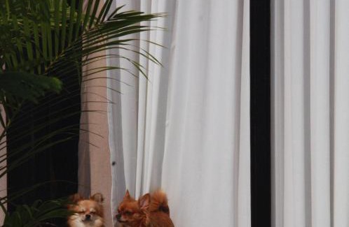 Noen Maprang Resort | The Nature House Botique Resort & Cafe - Ban Mung