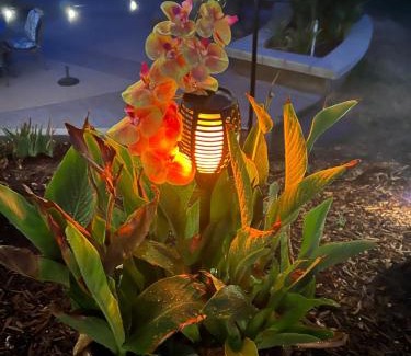 Columbia House | The Oasis