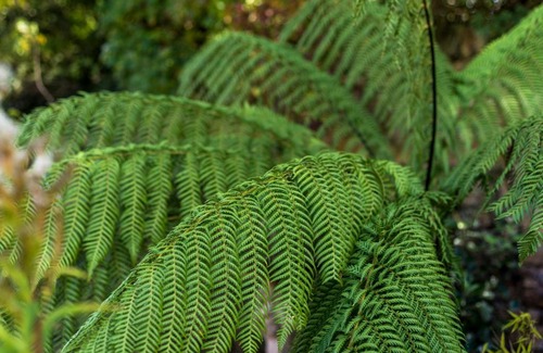 Stathern Bed & Breakfast | The Old Nurseries B & B