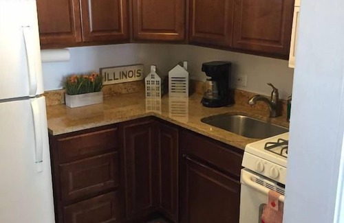 Lakeview House | The Original Wrigleyville Coach House- 2 Story, Private, Single Family Residence