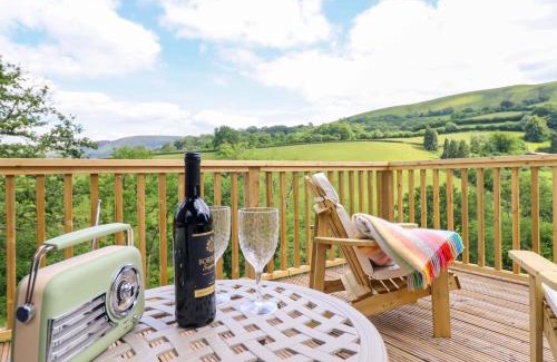 Llanidloes House | The Owlet