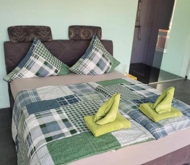 Kaiserslautern Apartment | The Penthouse