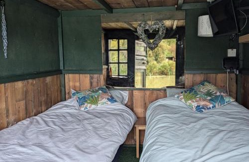 St. Mary's Other | the reedy cabin