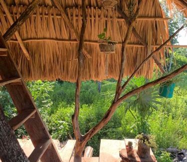 Jose Maria Morelos Other | The Republic of corn