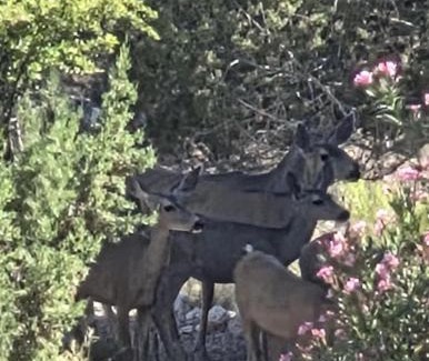 Lake Montezuma House | The Scholars Casita