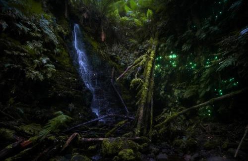 Tanybryn Cabin | The Source, Otways