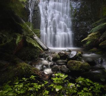 Tanybryn Cabin | The Source, Otways